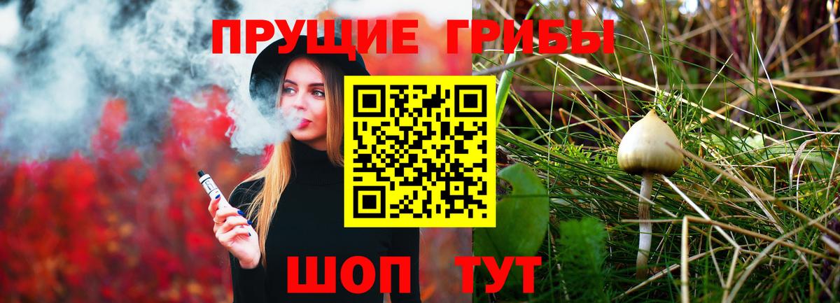 Галлюциногенные грибы Magic Shrooms Тверь